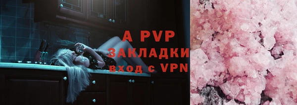 Альфа ПВП Верея