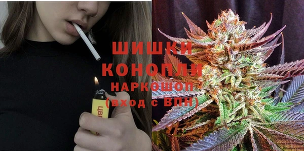 Альфа ПВП Верея