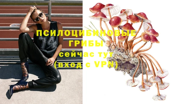 Альфа ПВП Верея