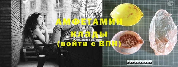 Альфа ПВП Верея