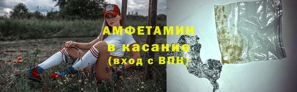 амф Осташков