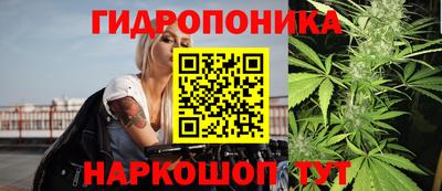 скорость Обь