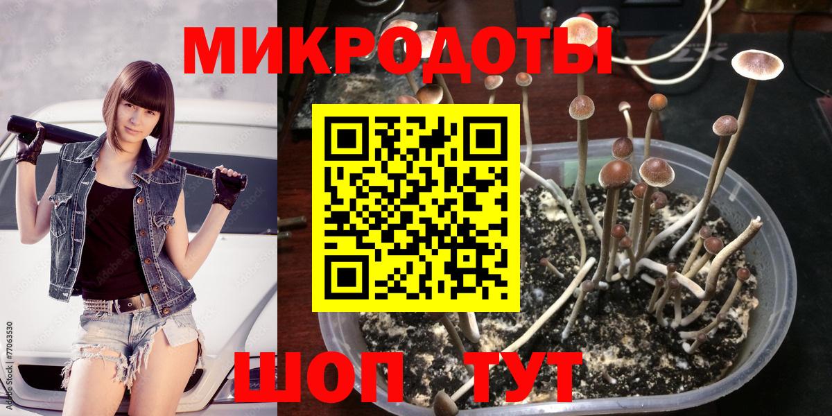 Меф   Гашиш  LSD-25  КОКАИН  Вход с VPN  Канабис  Ноябрьск  ЭКСТАЗИ  А ПВП СК  