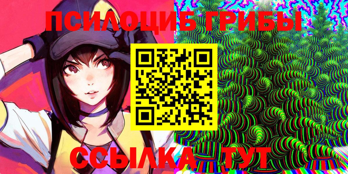 Ноябрьск  Псилоцибиновые грибы Psilocybine cubensis  Вход с VPN 